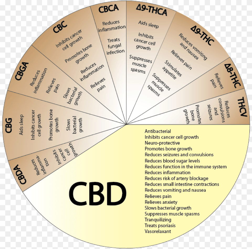Benefits Of Smoking Cbd, Chart, Business Card, Paper, Pie Chart Free Png Download