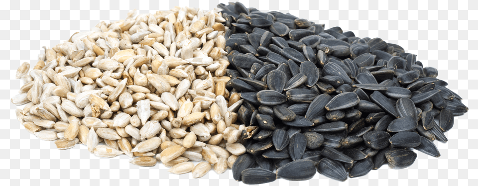 Benefits Of Sunflower Seeds, Food, Produce, Grain, Plant Png