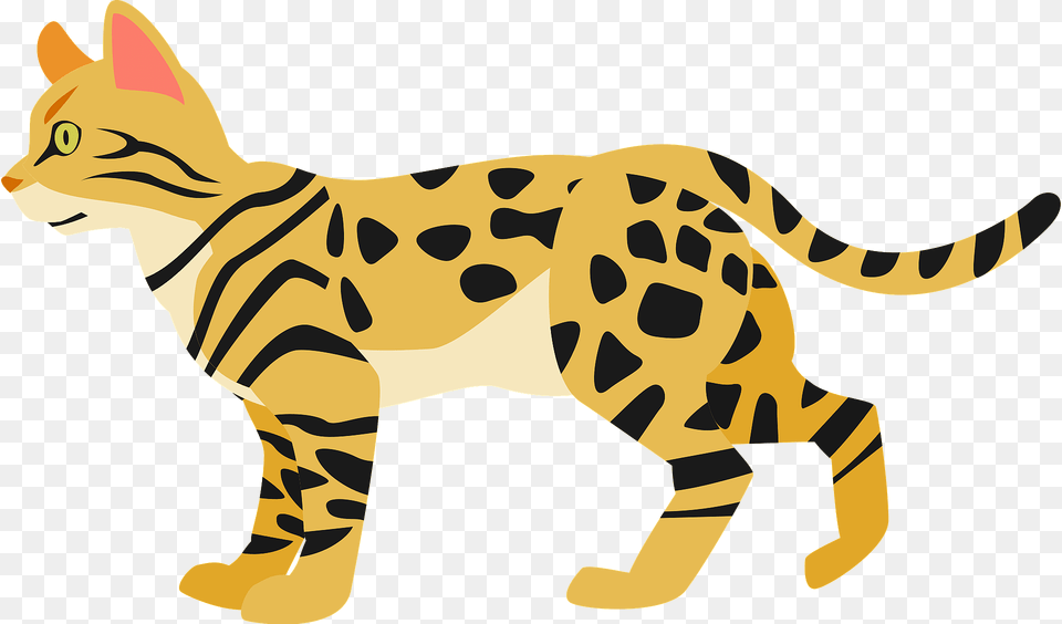 Bengal Cat Clipart, Animal, Mammal, Ocelot, Wildlife Free Transparent Png