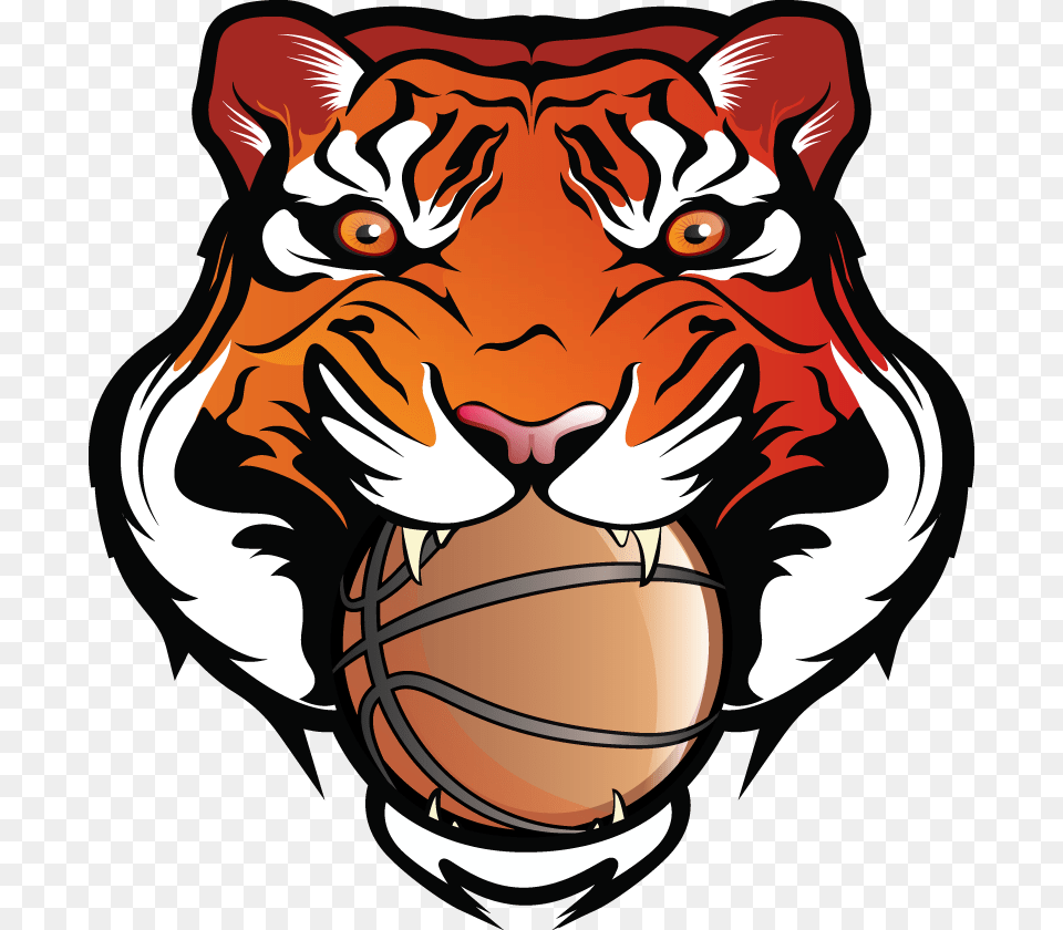 Bengal Clipart Basketball, Person Free Png Download