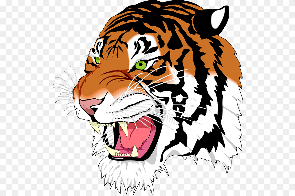 Bengal Clipart Harimau, Person, Animal, Mammal, Tiger Png