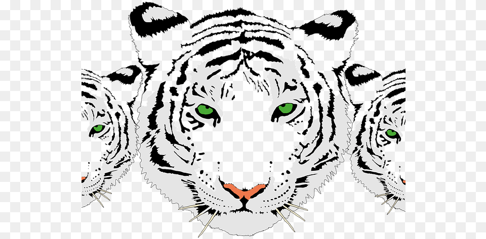 Bengal Clipart Tiger Head White Tiger Face, Stencil, Baby, Person, Art Png