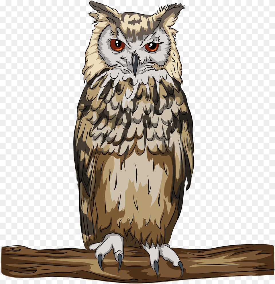 Bengal Eagle Owl Cartoon, Animal, Bird Free Transparent Png