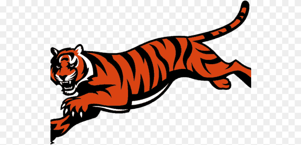 Bengal Free Clip Art Cincinnati Bengals Tiger Logo, Baby, Person, Animal, Mammal Png Image