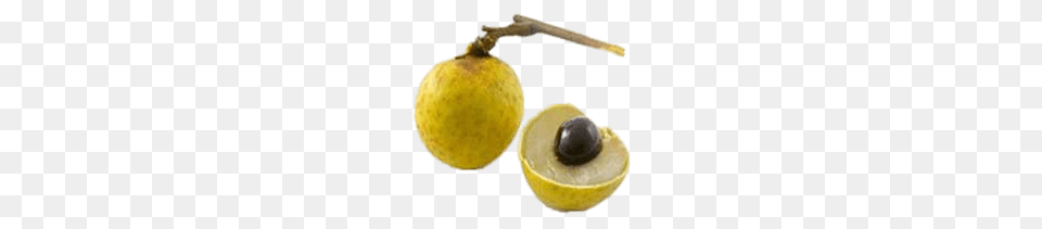Bengal Lychee, Food, Fruit, Plant, Produce Free Transparent Png
