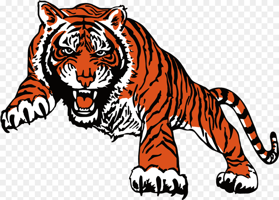 Bengal Tiger, Animal, Mammal, Wildlife Png Image