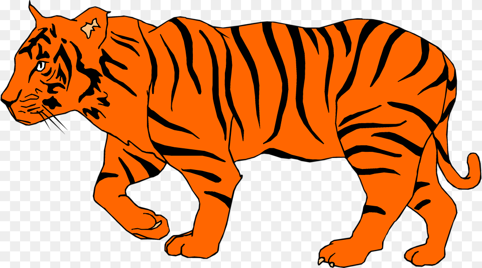 Bengal Tiger Clip Art, Person, Animal, Mammal, Wildlife Free Transparent Png