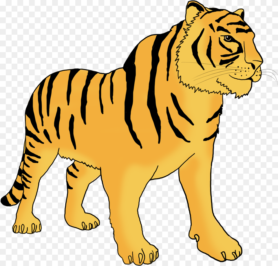 Bengal Tiger Clipart, Animal, Lion, Mammal, Wildlife Free Png Download