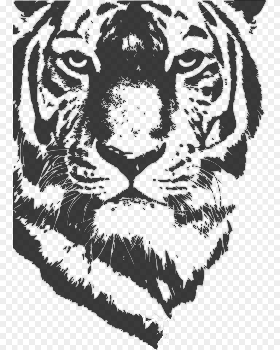 Bengal Tiger Delight Lion, Outdoors Png Image