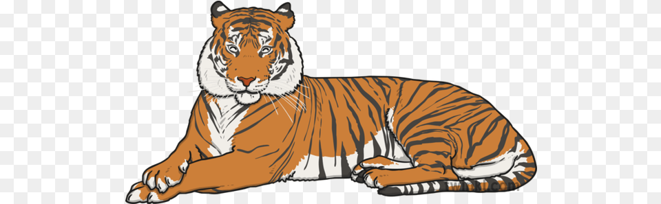 Bengal Tiger Illustration Animals With Stripes, Animal, Mammal, Wildlife Png