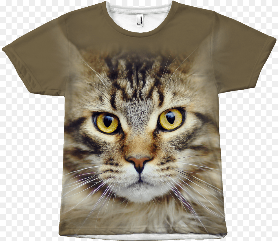 Bengal X Maine Coon, Clothing, T-shirt, Animal, Cat Free Png