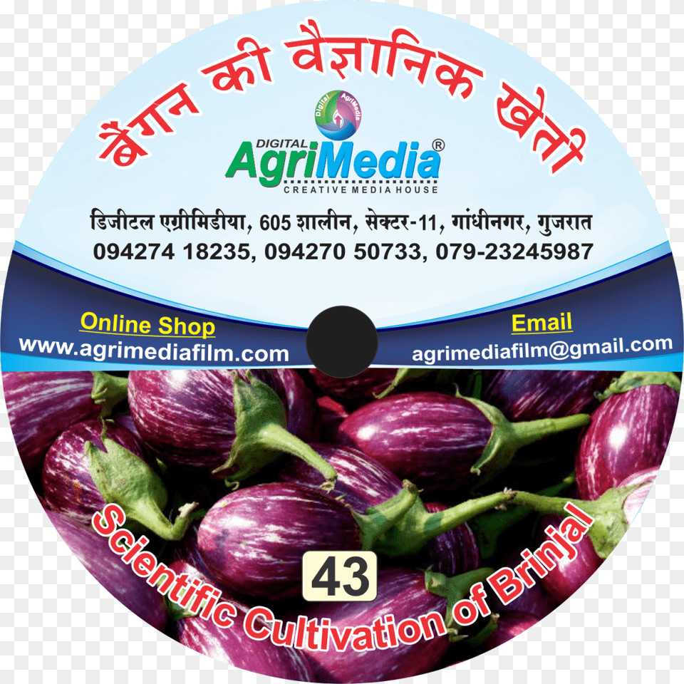 Bengan Ki Vaiganik Kheti Eggplant, Food, Produce, Disk, Dvd Png Image