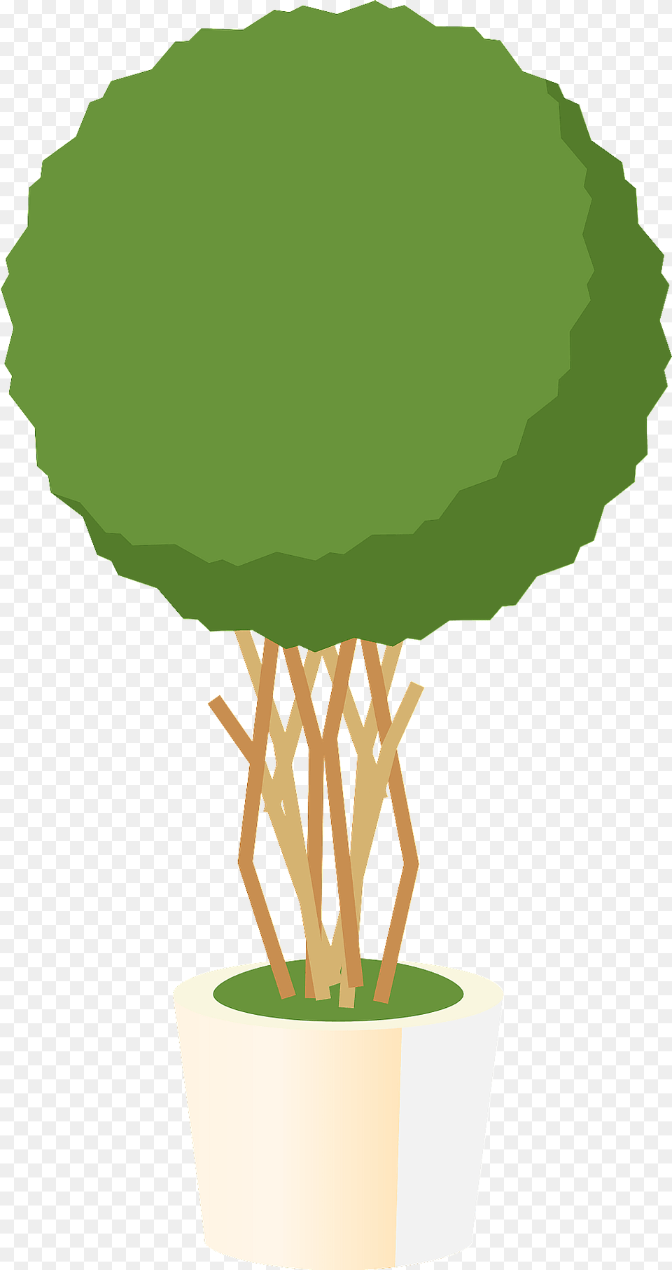 Benjamin Fig Clipart, Leaf, Plant, Potted Plant, Tree Free Png Download