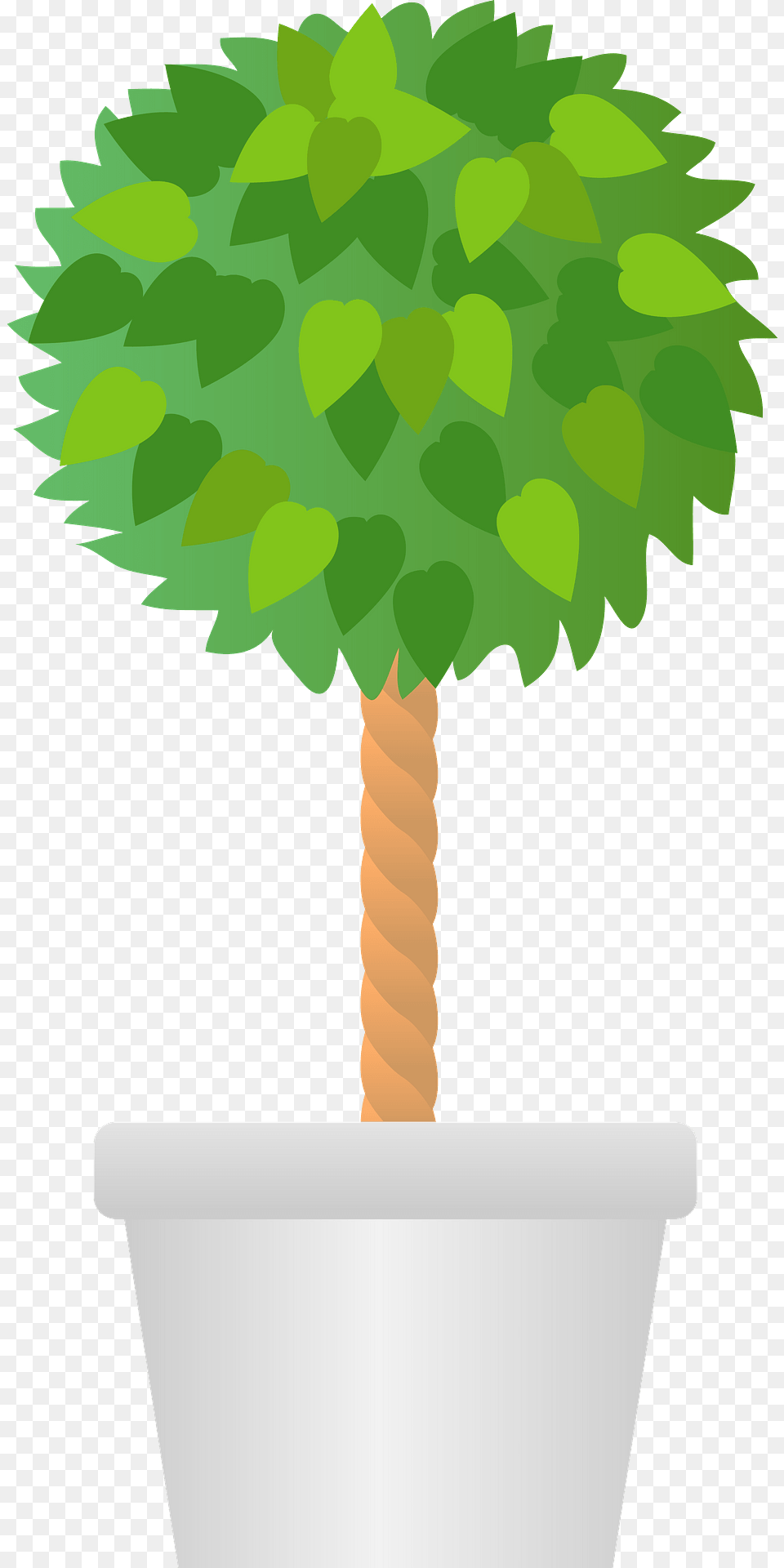 Benjamin Fig Tree In A White Pot Clipart, Leaf, Palm Tree, Plant, Potted Plant Free Transparent Png