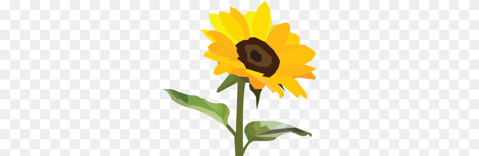 Benjamin Rita Product Design Using Metaphor, Flower, Plant, Sunflower, Person Free Png