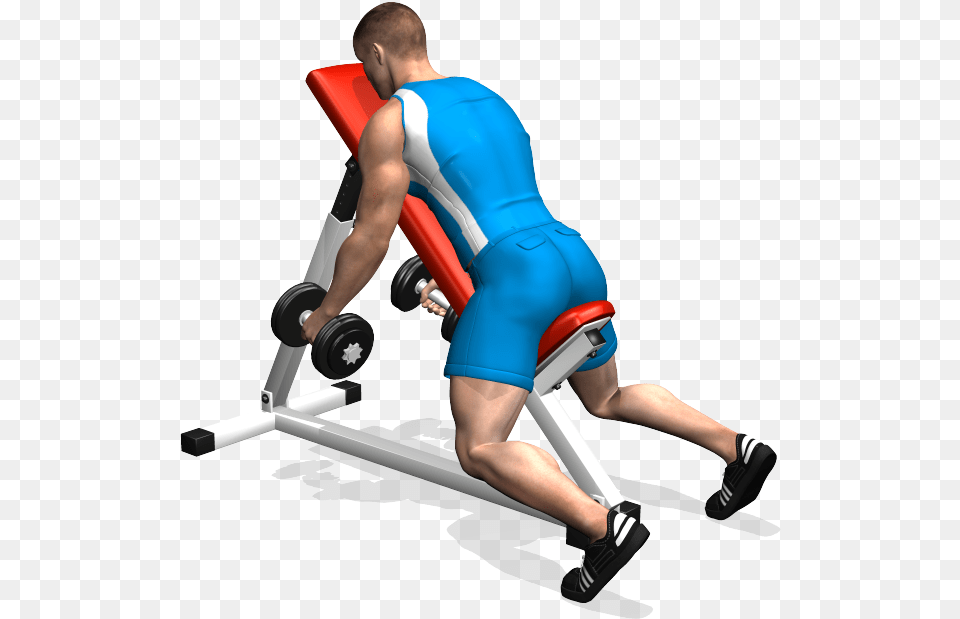 Bent Over Dumbbell Lateral Raise Alzate A 90 Su Panca, Adult, Female, Person, Woman Png Image