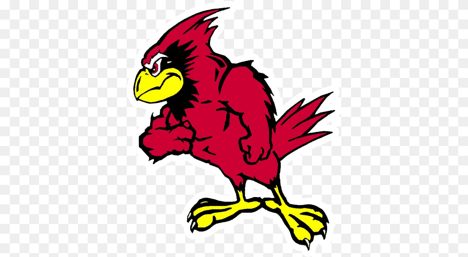 Benton St Joseph Benton Cardinals, Animal, Beak, Bird, Baby Free Transparent Png