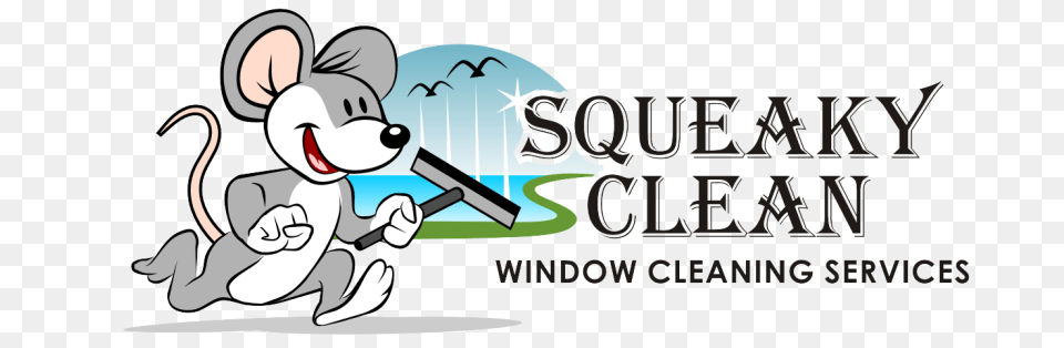 Benzie Window Cleaning Window Washing Business In Benzonia Michigan, Book, Comics, Publication, Baby Free Png