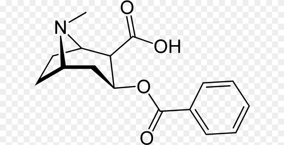 Benzoylmethylecgonine Or Cocaine Diaminopropionic Acid, Gray Free Transparent Png