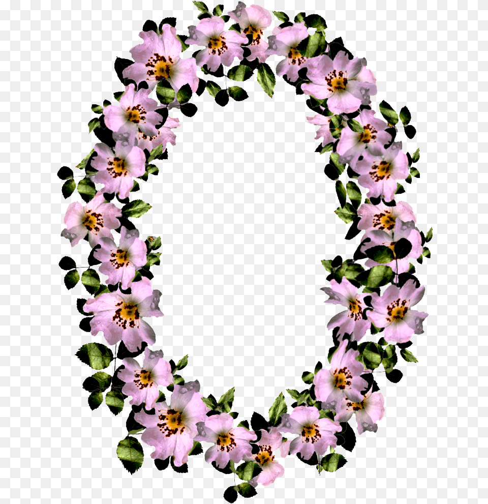 Berbatasan Bunga Pic, Flower, Flower Arrangement, Plant, Accessories Png Image