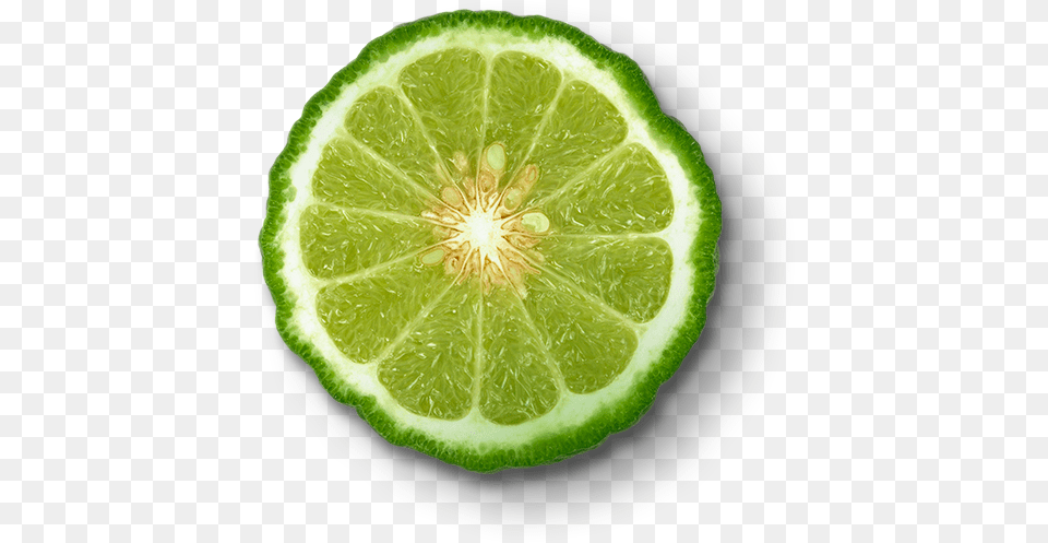 Bergamot, Citrus Fruit, Food, Fruit, Lime Png Image