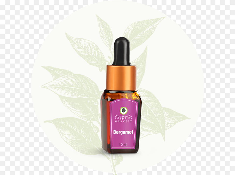 Bergamot Essential Oil, Bottle, Herbal, Herbs, Plant Free Transparent Png