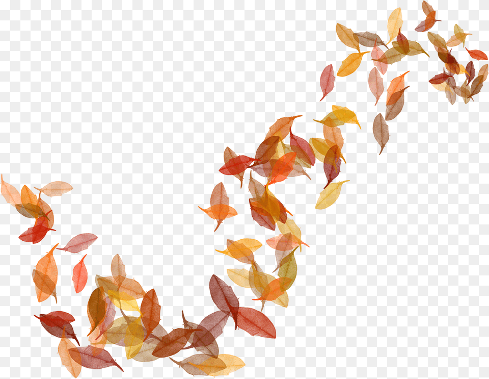 Berina 0 Na Yandeks Autumn, Leaf, Plant, Tree, Art Free Png