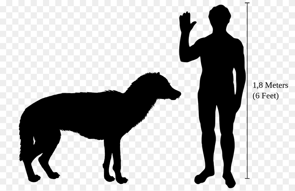 Beringian Wolf Size, Stencil Png