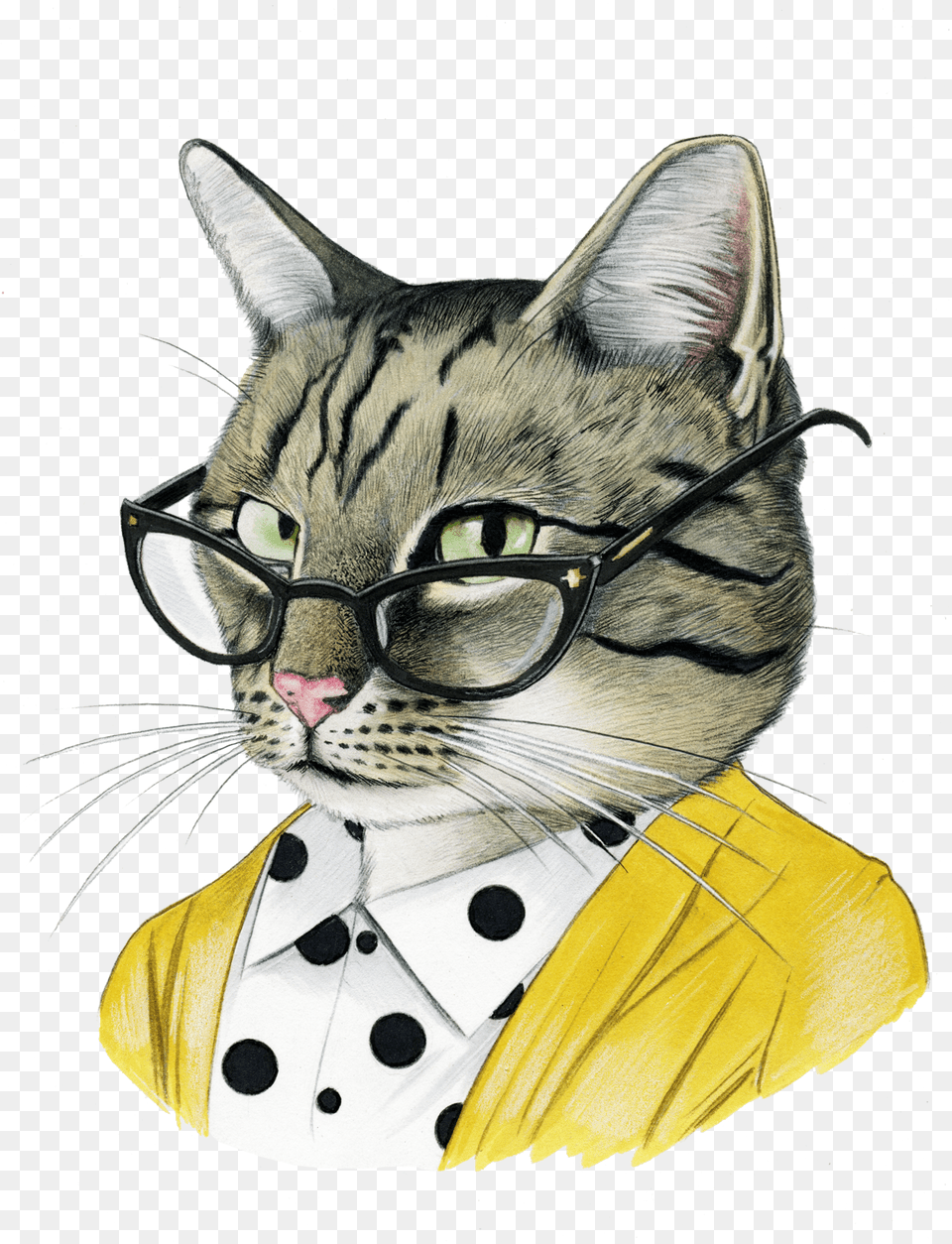 Berkley Illustrations, Animal, Cat, Mammal, Pet Free Transparent Png