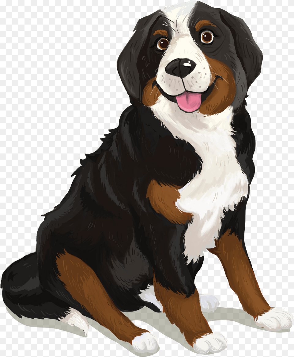 Bernese Mountain Dog, Animal, Canine, Mammal, Pet Png Image