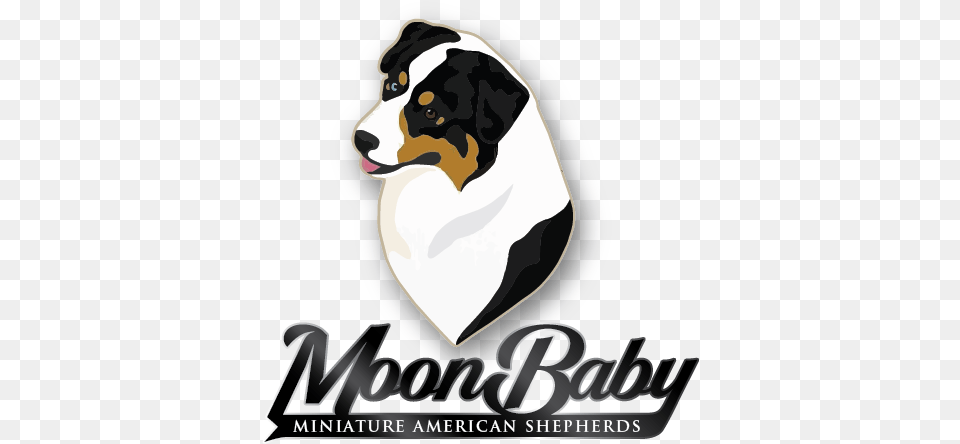 Bernese Mountain Dog, Animal, Canine, Mammal, Pet Free Transparent Png