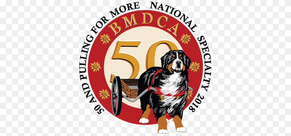 Bernese Mountain Dog Clipart Nice Dog, Animal, Canine, Mammal, Pet Free Png Download