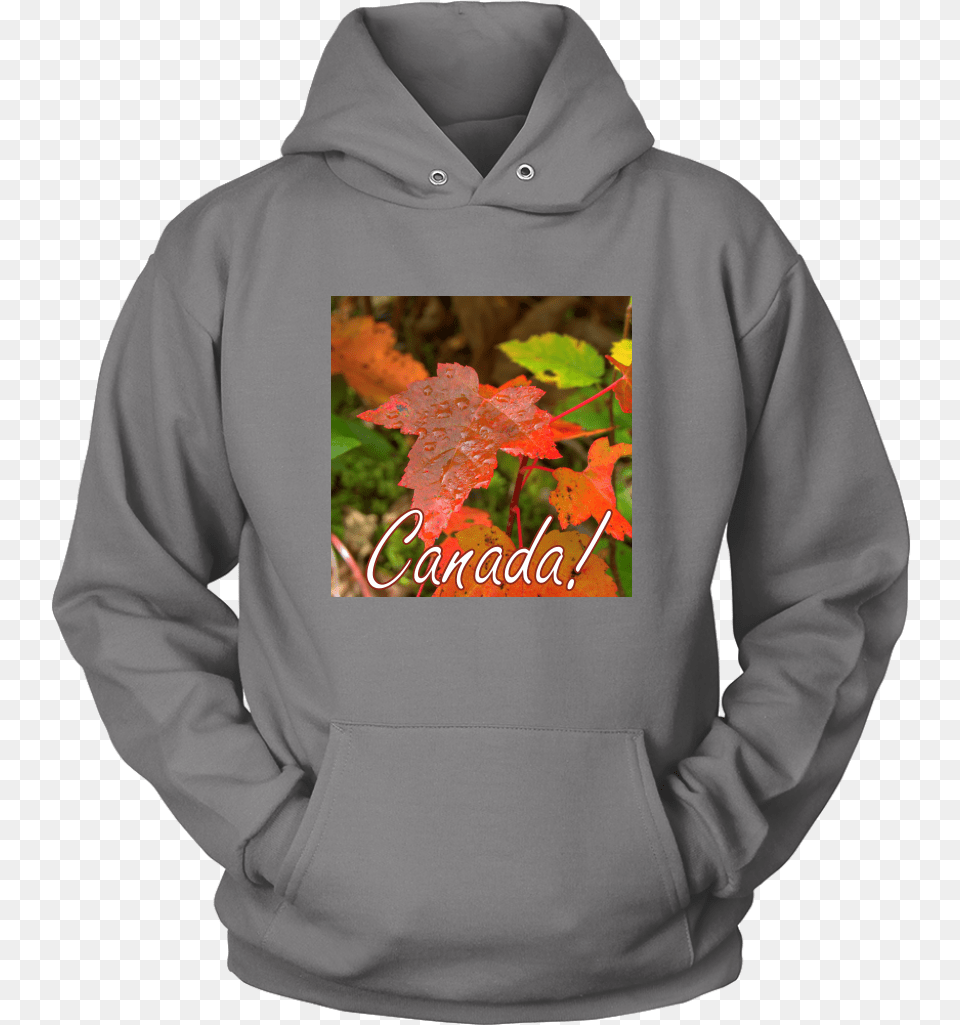 Bernese Mountain Dog Hoodies, Clothing, Hoodie, Knitwear, Leaf Free Transparent Png