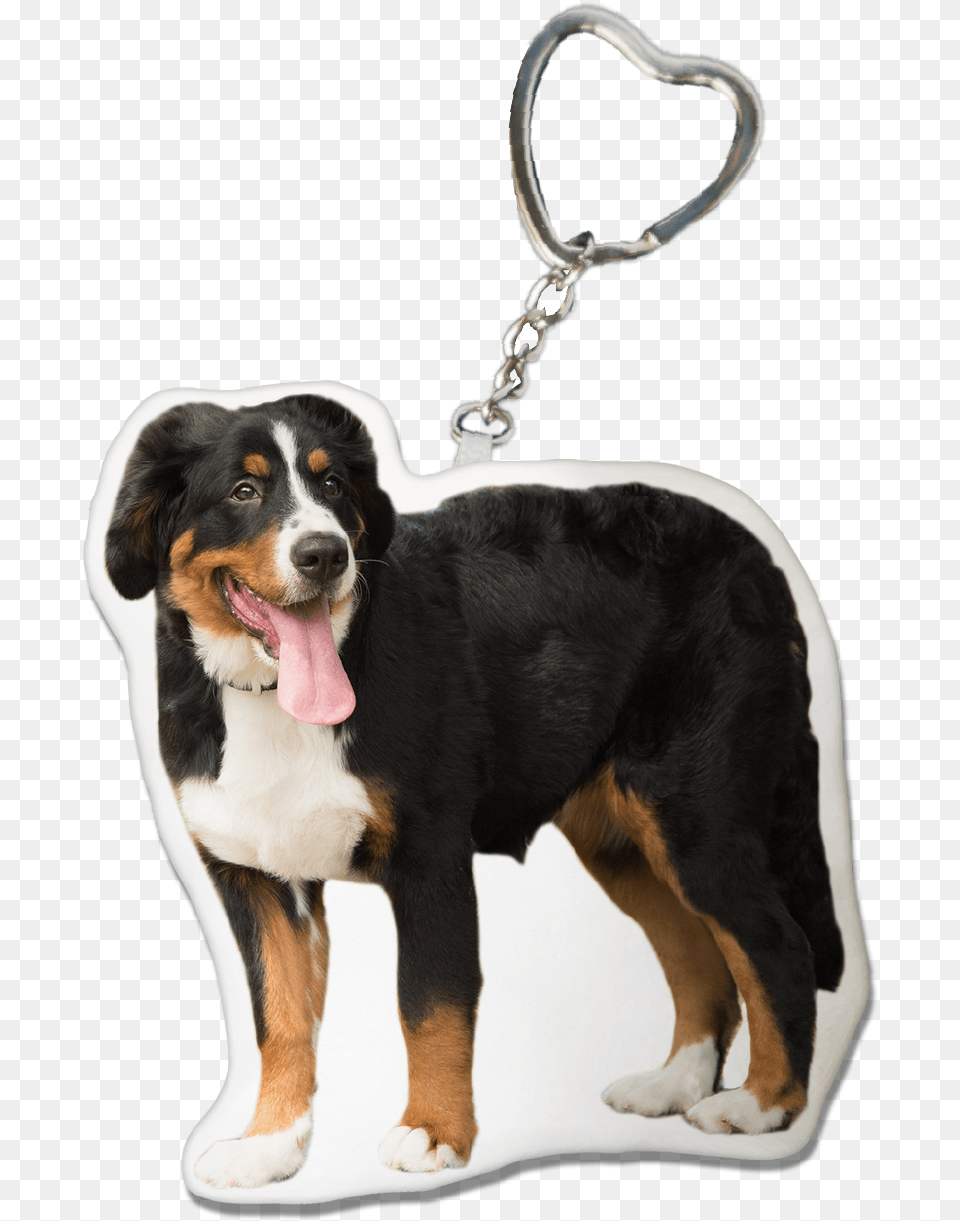 Bernese Mountain Dog Keychain Bernese Mountain Dog, Accessories, Animal, Canine, Mammal Png Image