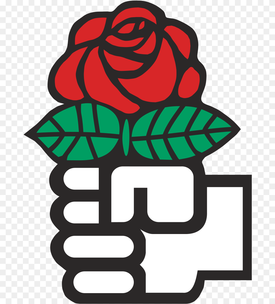 Bernie Sanders And The Christian Vote Socialism Rose, Flower, Plant, Body Part, Hand Free Png Download