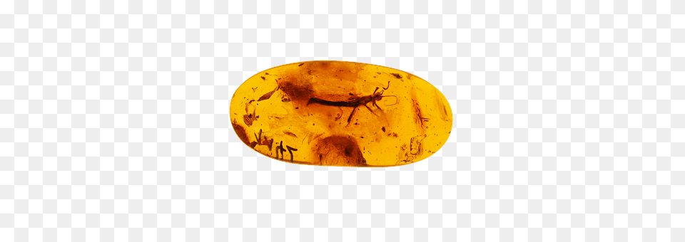 Bernstein Gold, Animal, Bee, Insect Free Transparent Png