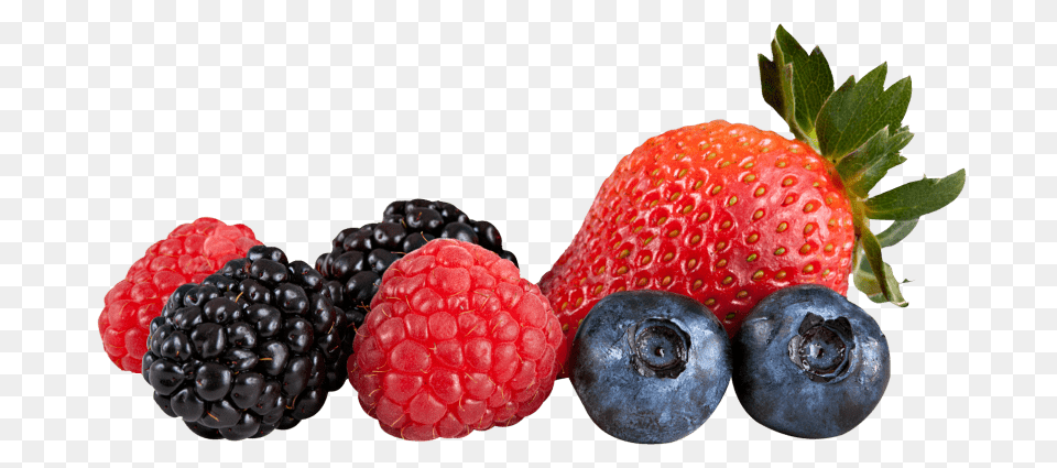 Berries, Berry, Blueberry, Food, Fruit Png Image