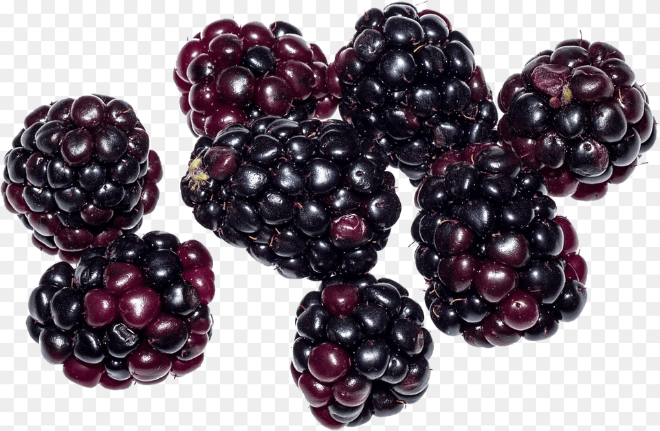 Berries, Berry, Food, Fruit, Plant Free Png Download