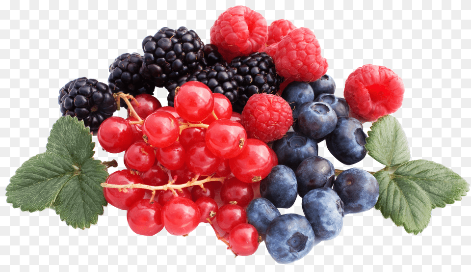 Berries, Berry, Blueberry, Food, Fruit Free Png