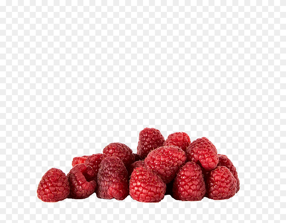 Berries Archives Forber Group Llc, Berry, Food, Fruit, Plant Png
