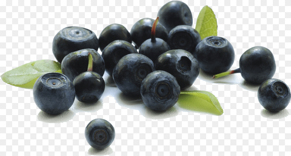Berries Background Aca Berry, Blueberry, Food, Fruit, Plant Png