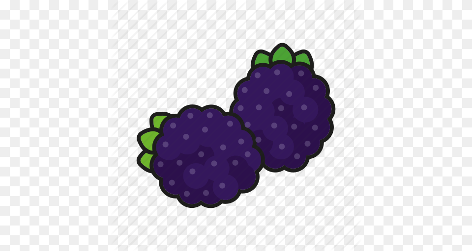 Berries Blackberry Brambleberry Food Fresh Fruit Icon, Produce, Purple, Berry, Plant Free Png