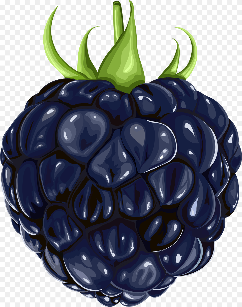 Berries Clipart Blackberry Fruit Blackberry, Berry, Food, Plant, Produce Png Image