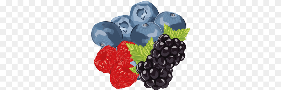 Berries Food, Berry, Blueberry, Fruit, Plant Free Png