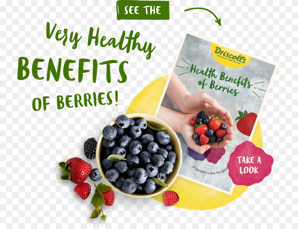 Berries Frutti Di Bosco, Berry, Blueberry, Food, Fruit Png Image