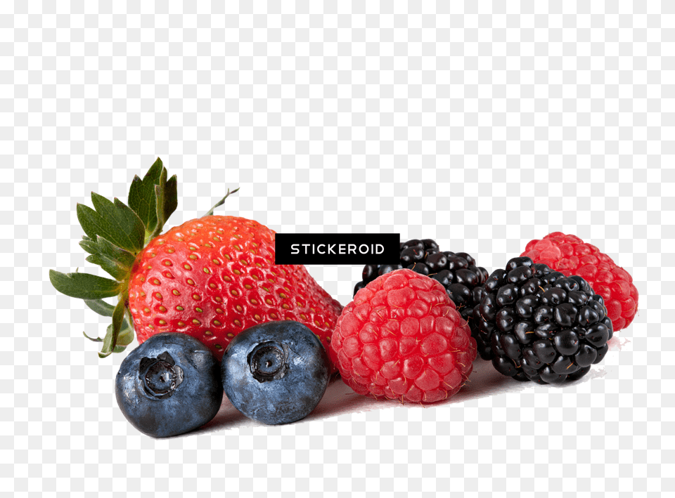 Berries Hd, Berry, Blueberry, Food, Fruit Free Png Download