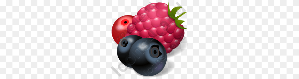Berries Icon Pngico Icons, Berry, Blueberry, Food, Fruit Png