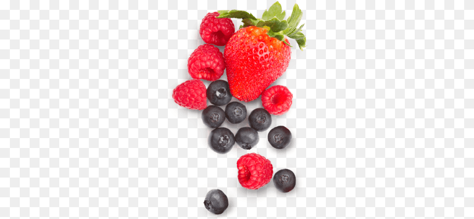 Berries Isheevskie Torti, Berry, Raspberry, Produce, Plant Png