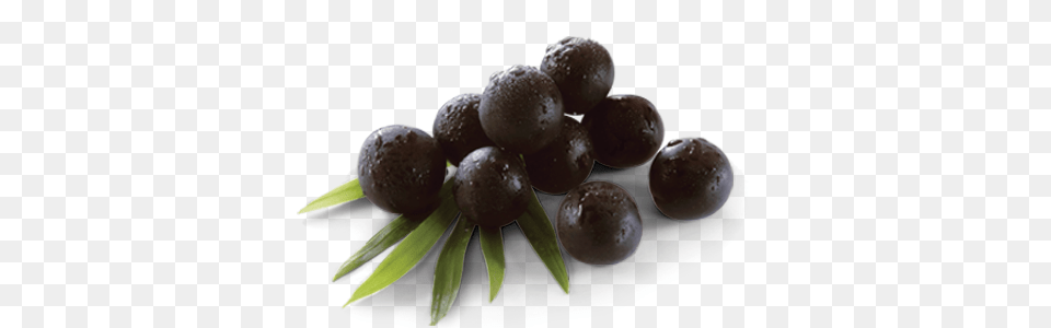 Berries Organic Maqui Berry Powder, Food, Fruit, Plant, Produce Free Transparent Png