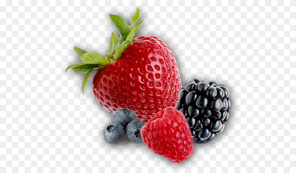 Berries Picture Berries, Berry, Blueberry, Food, Fruit Free Transparent Png